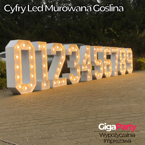 Cyfry Led Murowana Goślina