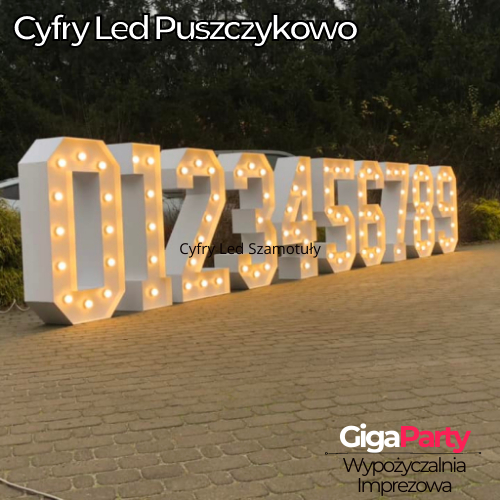 Cyfry Led Puszczykowo